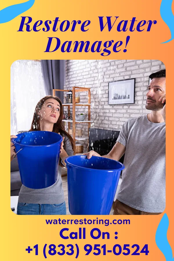 water restoration Titan Flood Damage Company Alsey