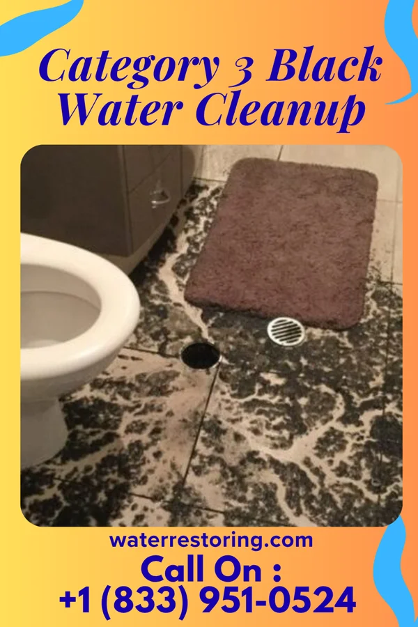 Category 3 Black Water Cleanup in Alsey, IL
