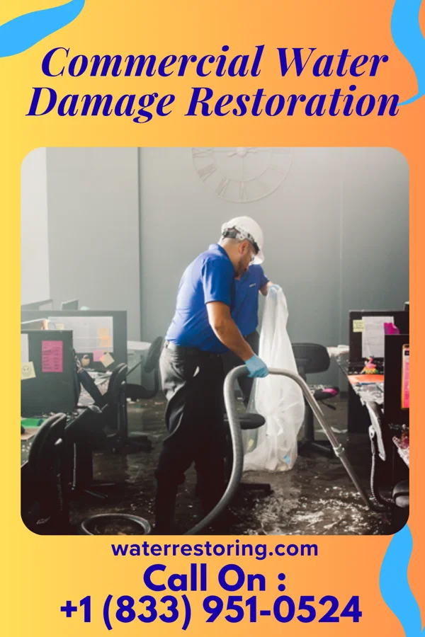 Commercial Water Damage Restoration in Alsey, IL