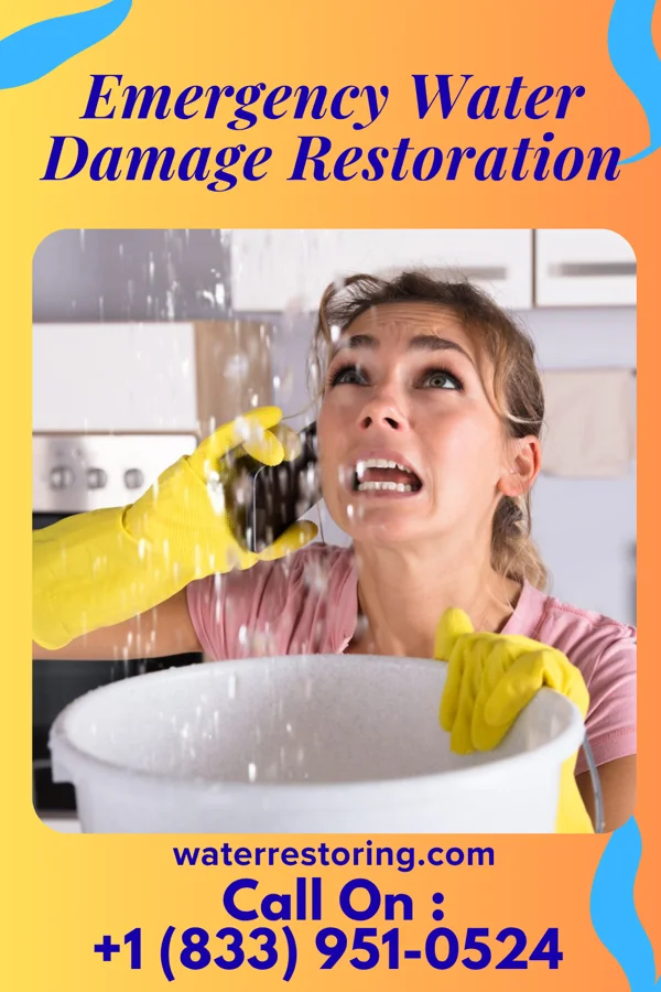 Emergency Water Damage Restoration in Alsey, IL
